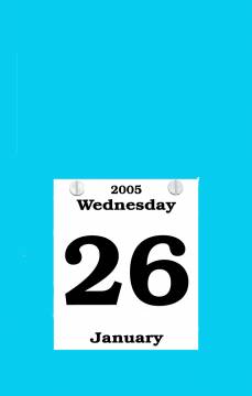 Daily Date Wall Calendar
